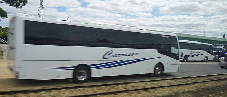 Carrison Mercedes OH1830 Coach Concepts